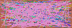 people finder reverse lookup